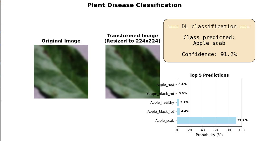 Leaffliction - Plant Disease Classification preview